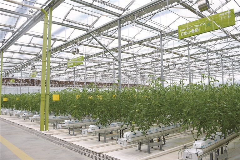 该技术通过精准测算土壤肥力、作物需求与肥料配比