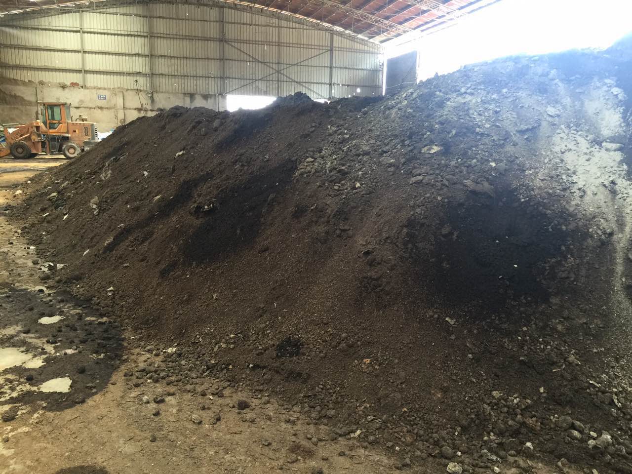 沧州大化老厂区位于大运河东岸